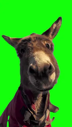 donkey meme 