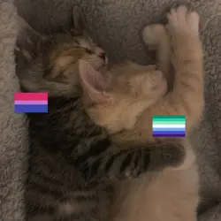 bisexual and gay <3