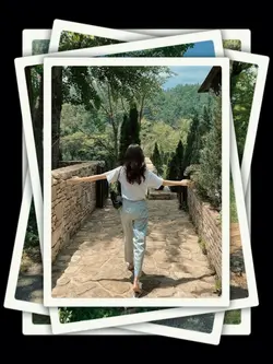 8Pic Clip Transition