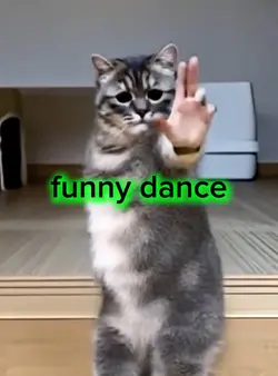 funnydance