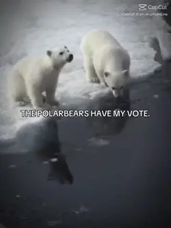 STOP AI SAVE POLAR 