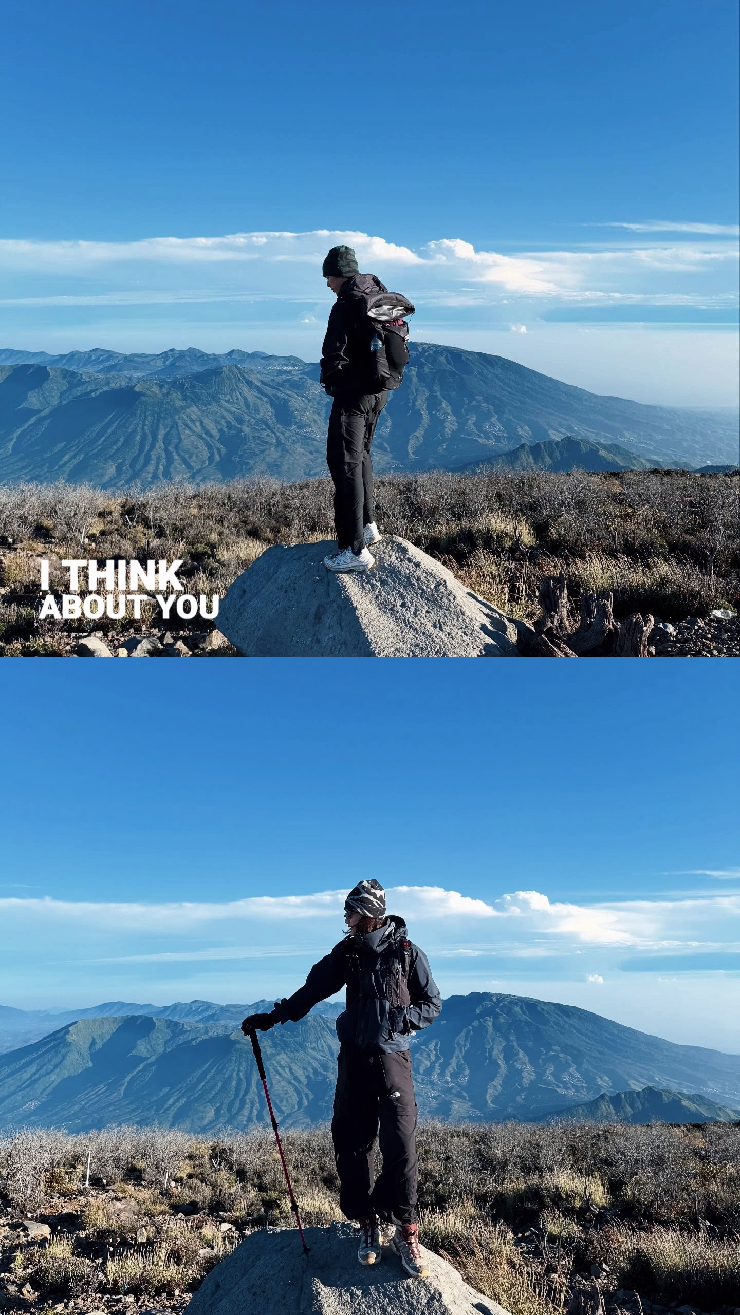 Estética gunung