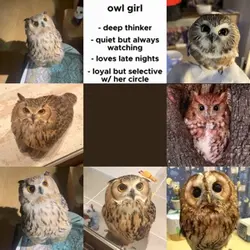 Owl girl 