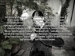 สเปค รักเลย