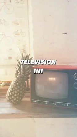 TELEVISION