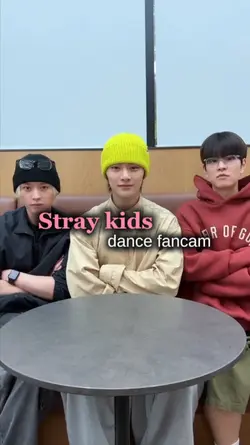 stray kids fancam