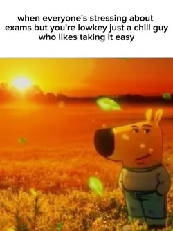 chill guy ahh moment