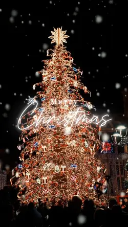 Merry Christmas 