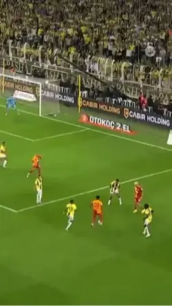 Sara’dan,SAMBA🕺🦁