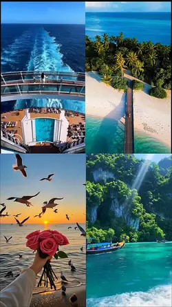 24 videos or photos