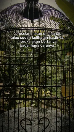 story kicau mania