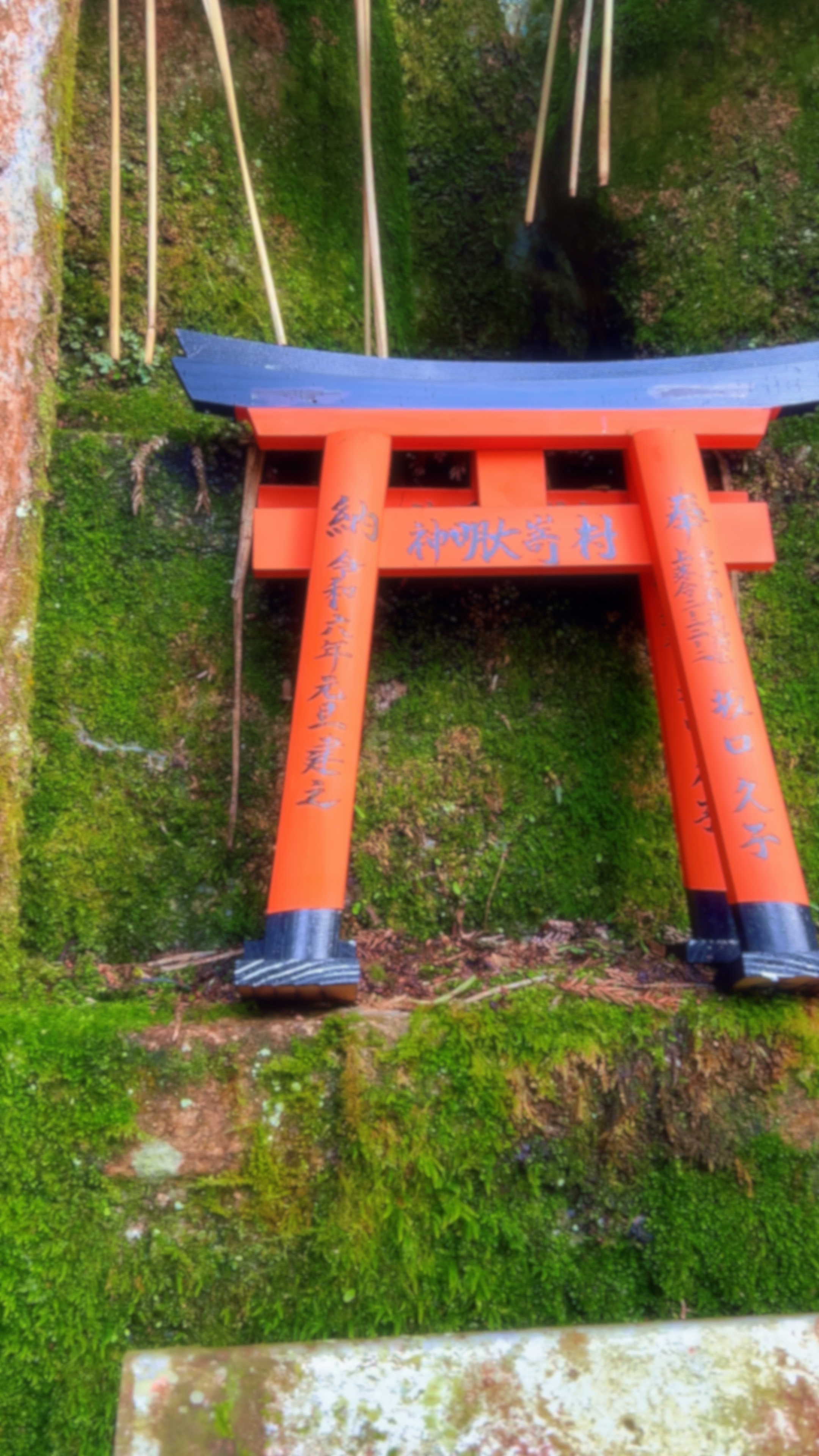伏見稲荷大社のお塚群