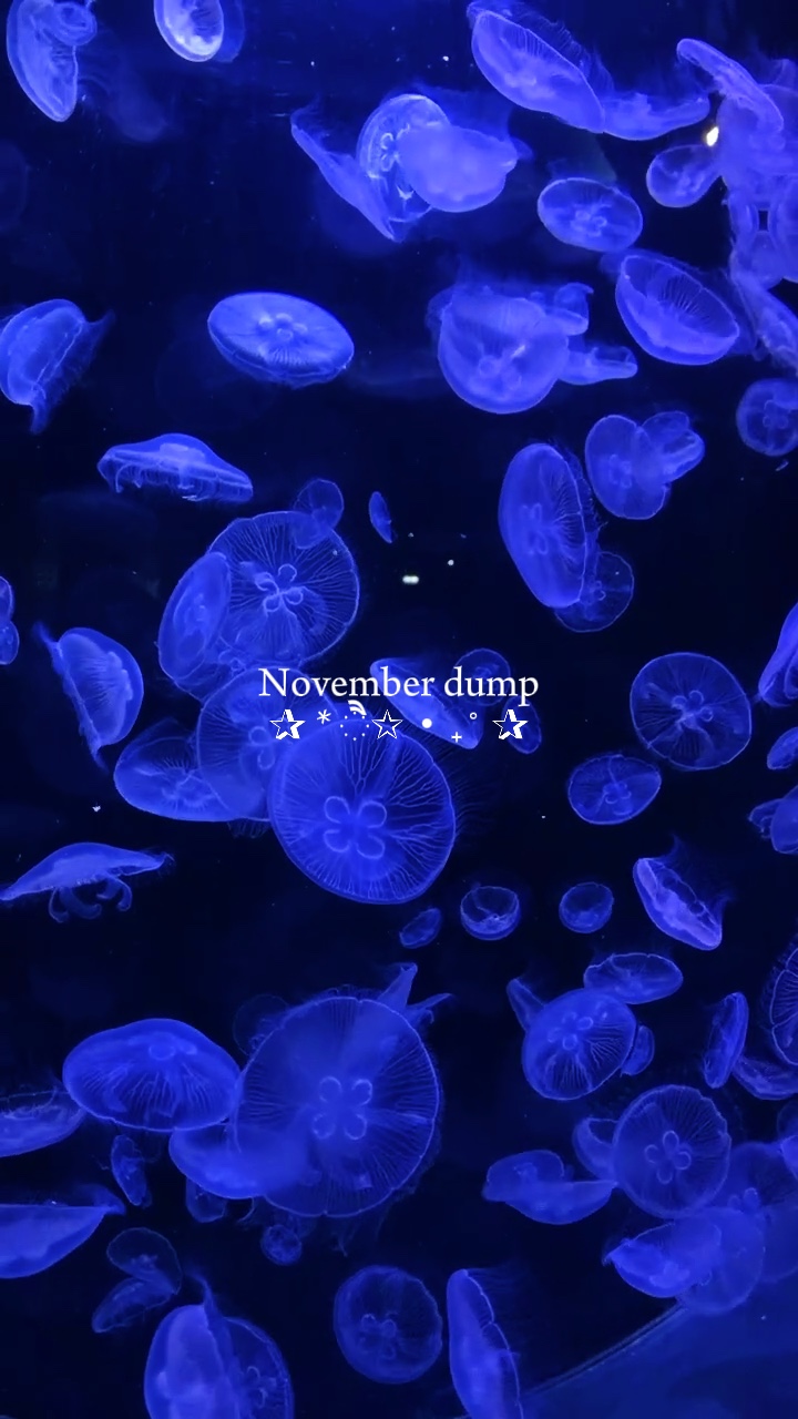 Despejo de novembro 