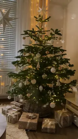 Christmas is coming 