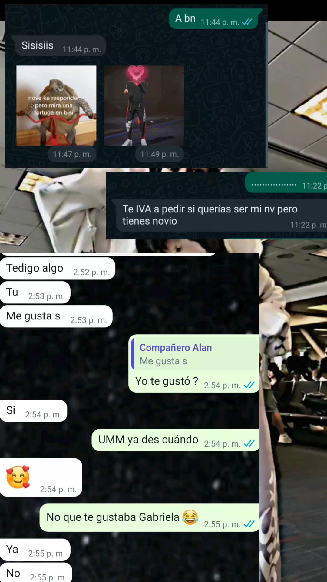 me das tu like