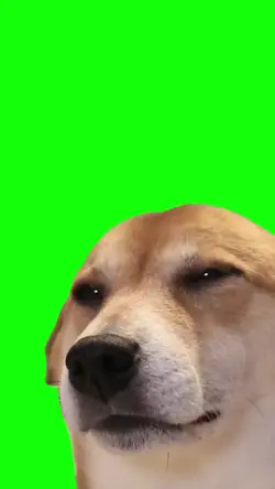 dancing dog epic sax