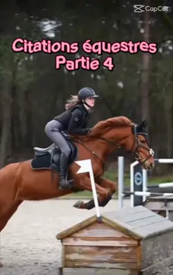 Citations équestres 
