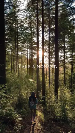 Take a moment.