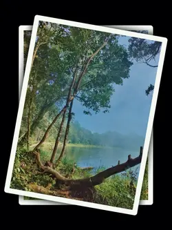 7Pic Aesthetic Trend