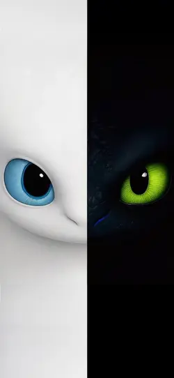 Wallpaper