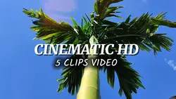 5 CLIPS VIDEO 