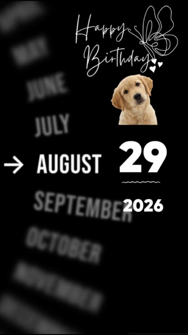 Perros HBD
