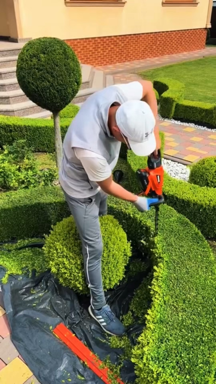 Berkebun