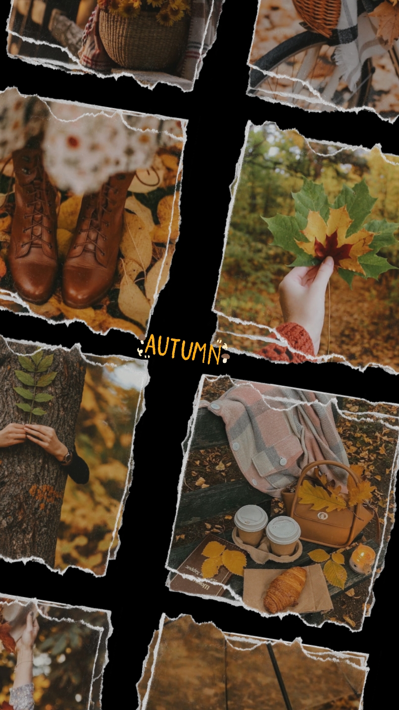autumn vibes