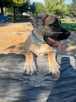 This took so long 😣