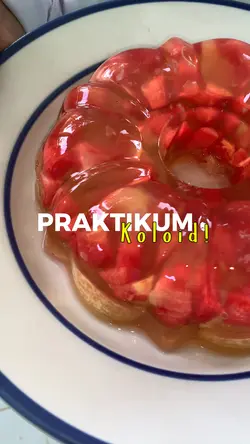 Vlog praktikum