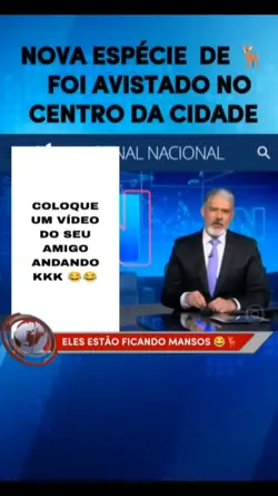 fake jornal