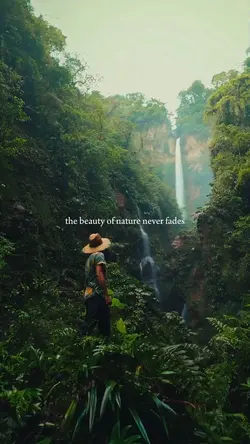 the beauty of nature