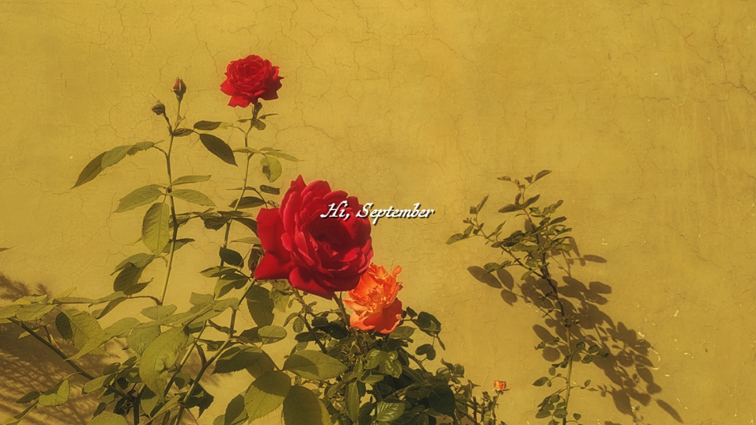Hola, septiembre