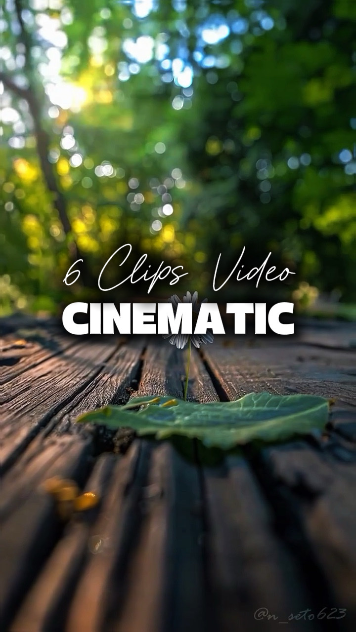 6 Videos Cinematic 