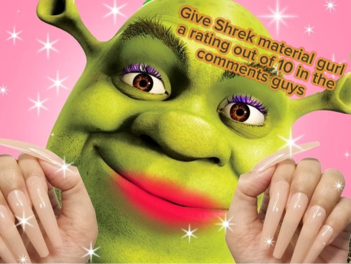 Shrek Material Gurl 