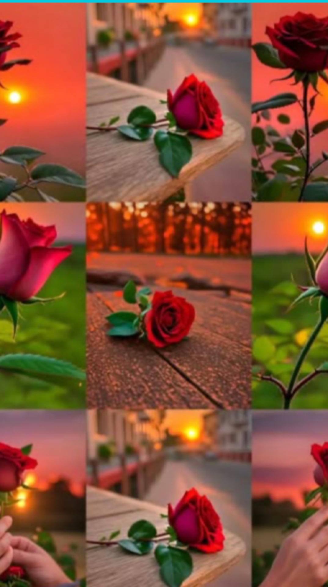 Muchachita rıza🌹