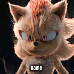 SONIC X SHADOW