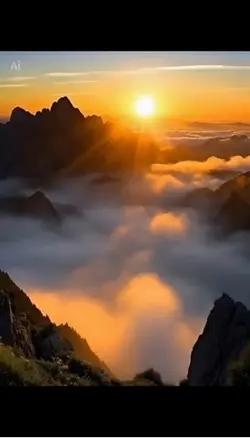 Nebel und das Licht