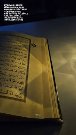 aminaminaminn