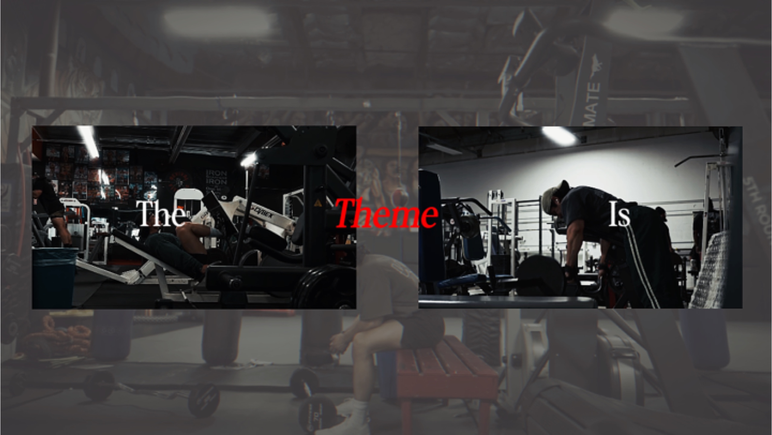 Cover Picture