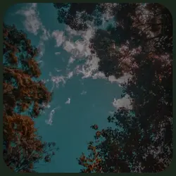 Mukta