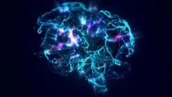 brain signals Β²βΉ