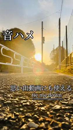 おしゃれな音ハメ