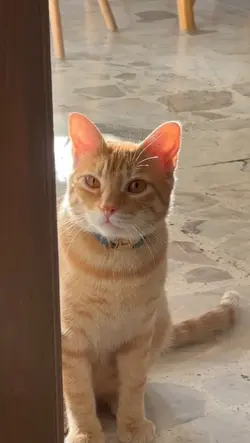 ไลฟ์​โฟโต้​