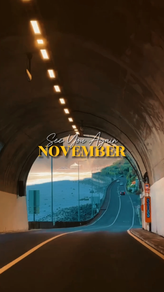 NOS VEMOS EN NOVIEMBRE