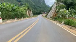 Mẫu 1vd