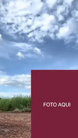 Zoe seus amigos 