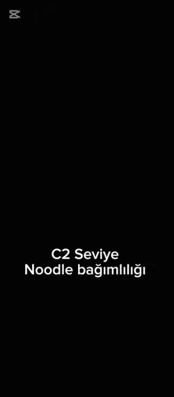 c2 Seviye