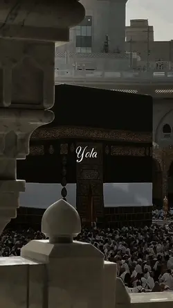 Yeni şablon