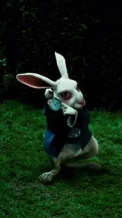 white rabbit